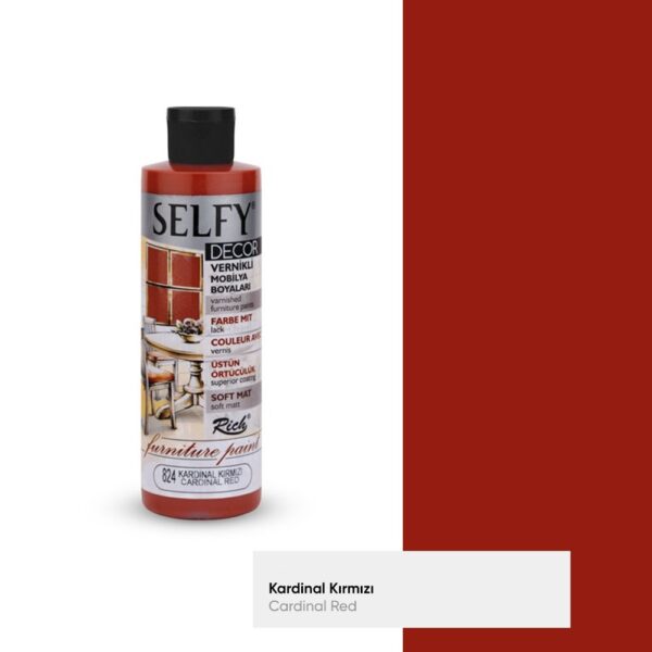 Rich Selfy Decor Vernikli Mobilya Boyası 240 ML